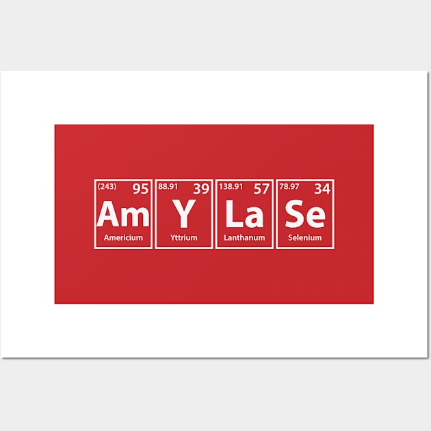 Amylase (Am-Y-La-Se) Periodic Elements Spelling Wall Art by cerebrands